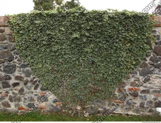 Photo Textures of Nature Mixed